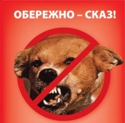 Михайлівська районна державна лікарня ветеринарної медицини інформує: